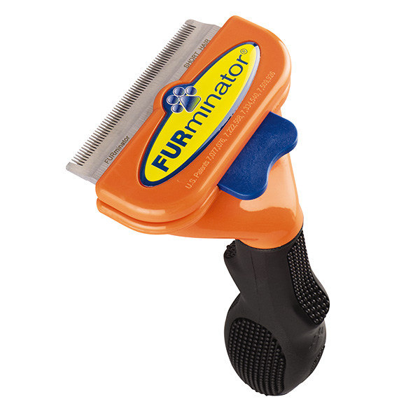 Deshedding tool for short hair dogs shop